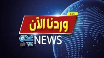 عاجل: صقور الجنوب يحبطون مخططًا حوثيًا لاختراق يافع ويلحقون بهم خسائر كبيرة.