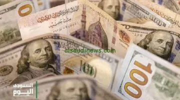 سعر الدولار مقابل الجنيه المصري اليوم: أحدث تحديث لـ1 مايو 2025