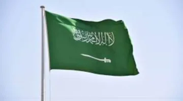 غرامة قياسية تصل إلى 100 ألف ريال على مقدمي طلبات تأشيرة الزيارة لأسباب محددة