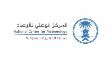 تحذيرات قوية من عواصف رعدية ورياح شديدة في السعودية يوم الخميس 1 مايو.. المركز الوطني للأرصاد يصدر تنبيهات عاجلة!