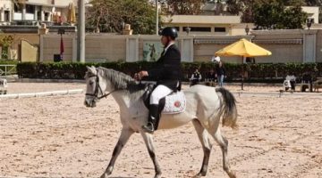 اليوم.. انطلاق النهائي لبطولة الجمهورية للفروسية لقادري الإعاقة بتألق!