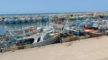 عاصفة ترابية تضرب كفر الشيخ.. إعلان حالة طوارئ وإغلاق ميناء الصيد بالبرلس.. شاهد الفيديو!