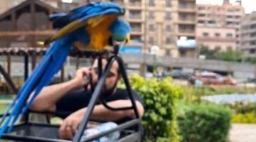 عالم الطيور السحري في حديقة ابن سندر: كل ما تتخيله وأكثر في فيديو حصري!
