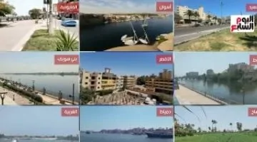 عودة موجة الحر الشديدة.. راحة يومين قبل ارتفاع حراري جديد.. شاهد الفيديو!