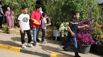 قبل إغلاق معرض الزهور بعد أسبوع.. استغل الفرصة لإنشاء حديقتك بأقل تكلفة! فيديو