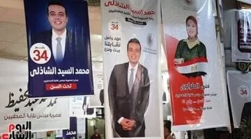 هتافات حاشدة تدعم محمد السيد الشاذلي في انتخابات نقابة الصحفيين.. شاهد الفيديو!